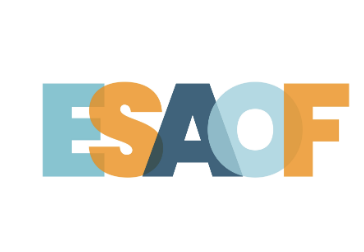 Captura de ecrã 2025-10-15, às 13.53.41